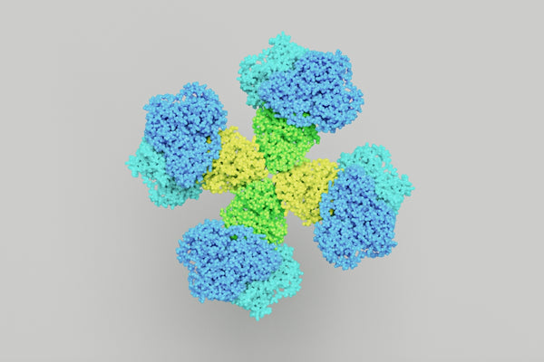 a bunch of blue and green flowers on a gray background